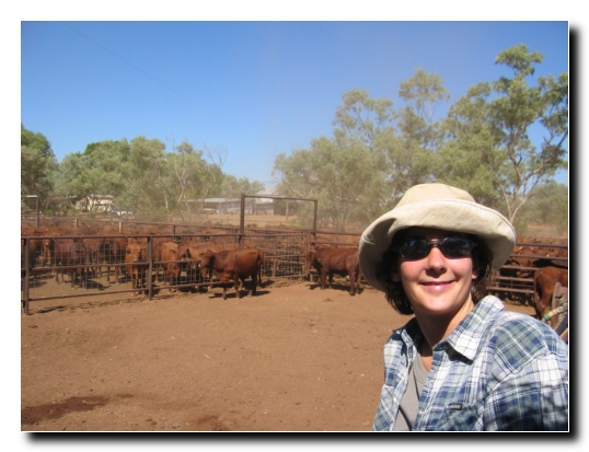 36 Zuschauer aus der Ferne